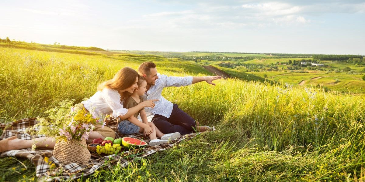 Alles für dein basisches Picknick