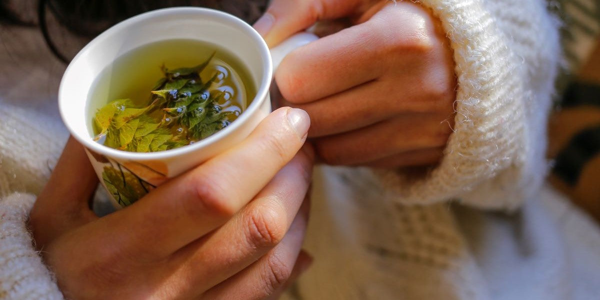 Ernährungsformen und Diäten im Vergleich