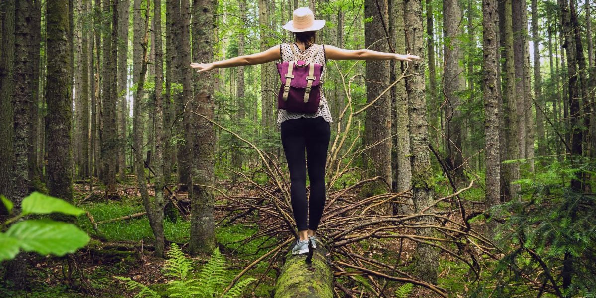 Waldbaden: Energie tanken durch die Kraft der Bäume